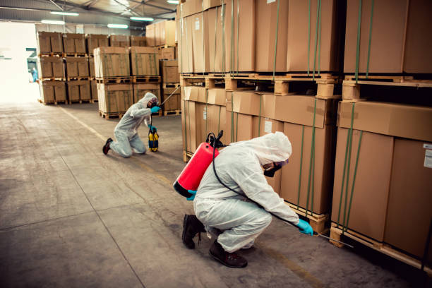 Best Affordable Pest Control Services  in Temelec, CA