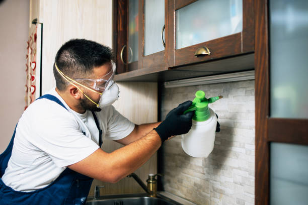 Best Local Pest Control Services  in Temelec, CA