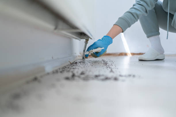 Best Pest Control Near Me in Temelec, CA